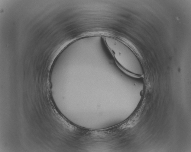 X0000077290852200611031548