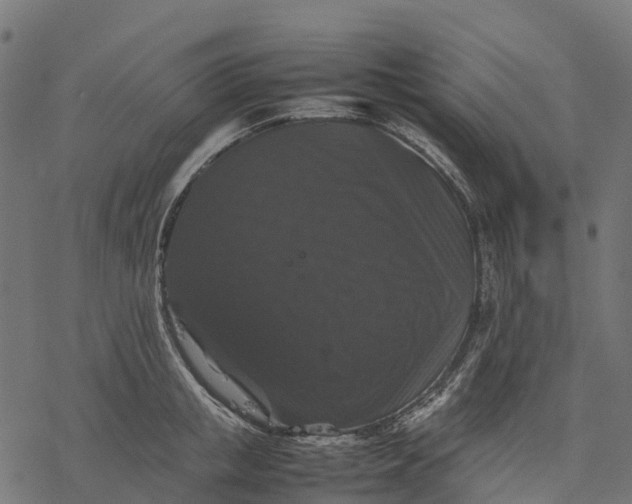 X0000077290853200611031548