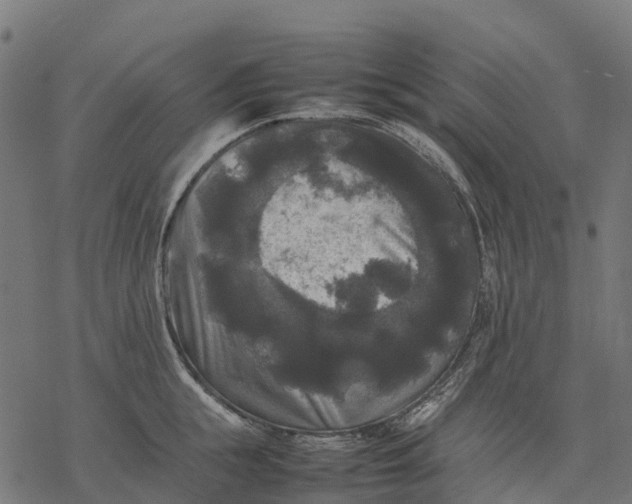 X0000077290855200611031548