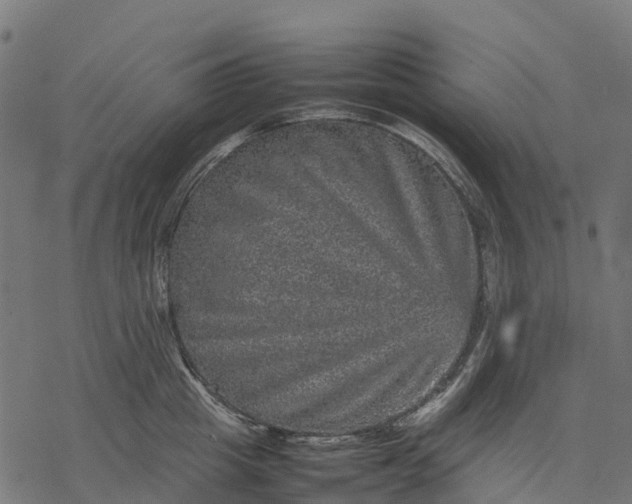 X0000077290857200611031548