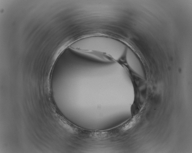 X0000077290858200611031548