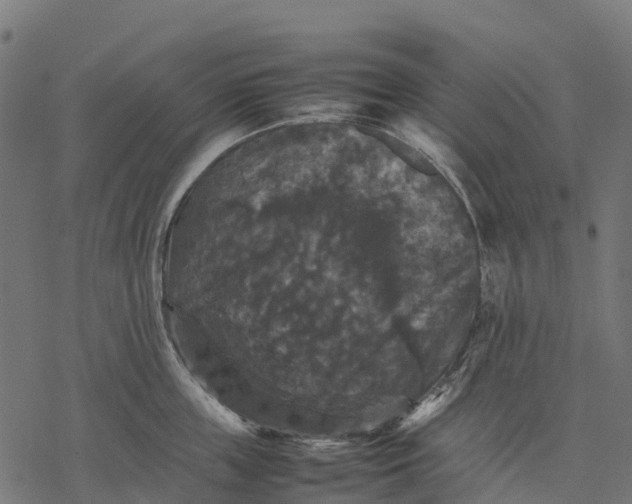 X0000077290859200611031548