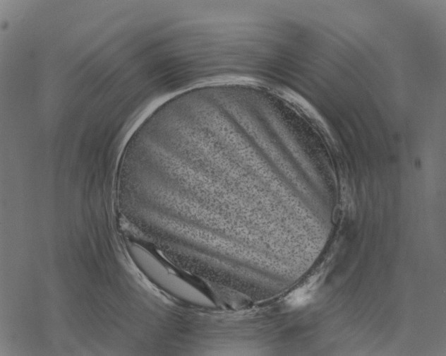 X0000077290860200611031548