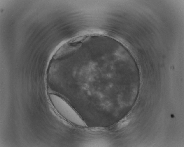 X0000077290864200611031548