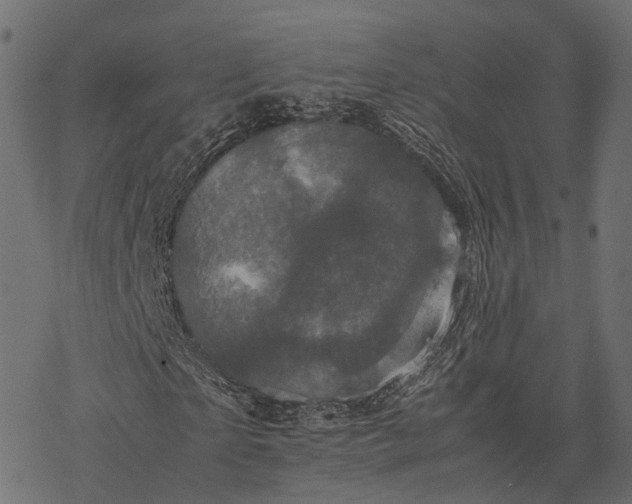 X0000077290865200611031548