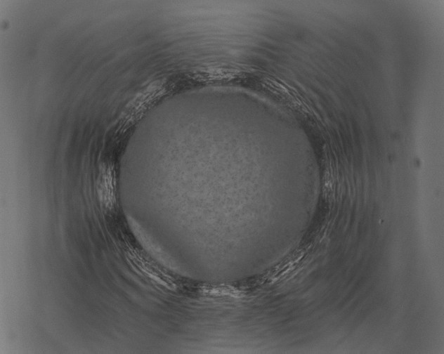 X0000077290866200611031548