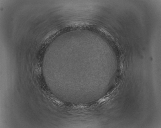 X0000077290869200611031548