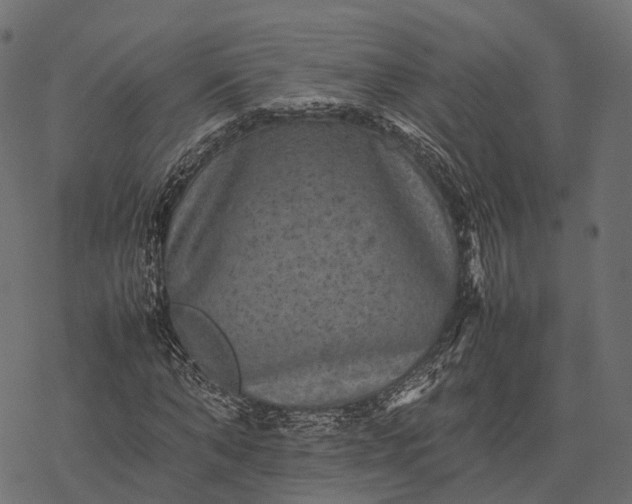 X0000077290870200611031548