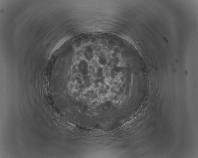 X0000077290871200611031548