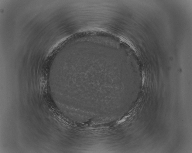 X0000077290872200611031548