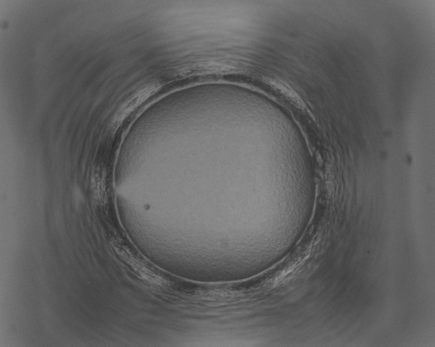 X0000077290873200611031548