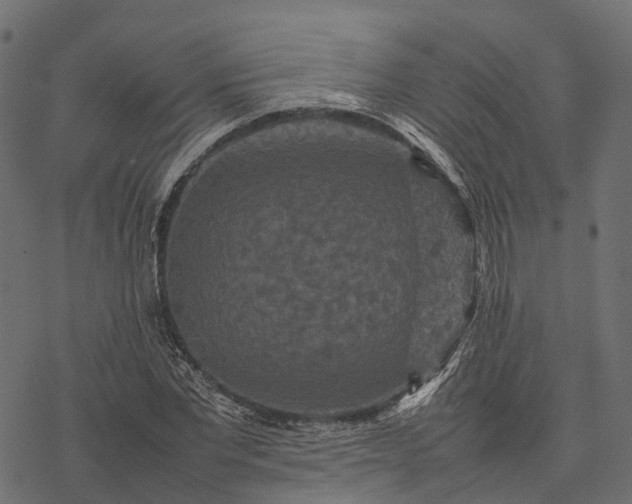 X0000077290877200611031548