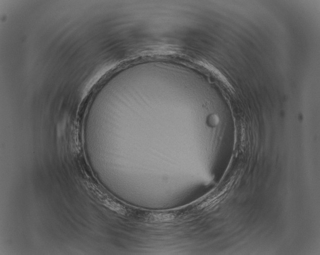 X0000077290878200611031547