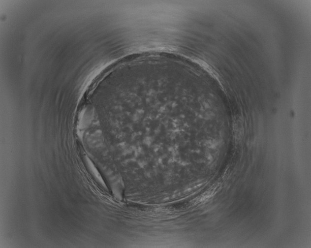 X0000077290879200611031547