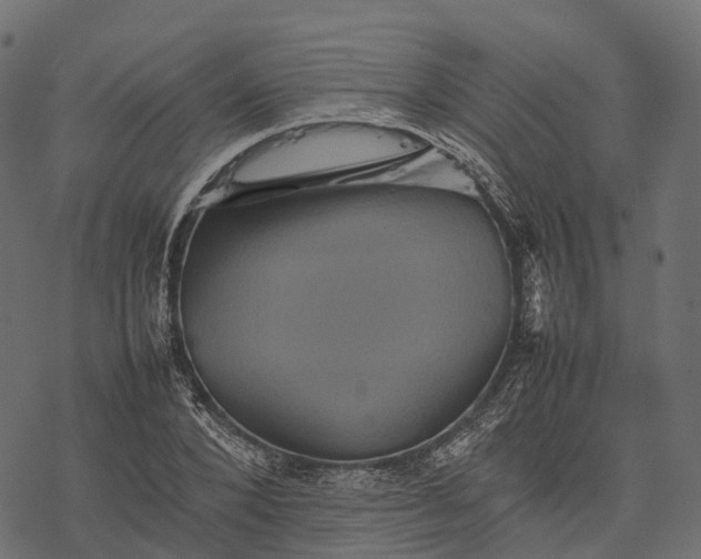 X0000077290880200611031547