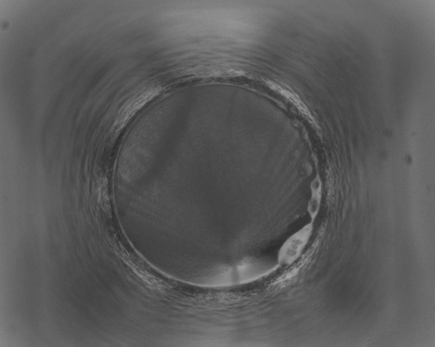 X0000077290881200611031547