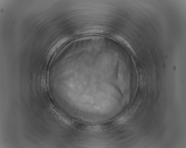 X0000077290882200611031547