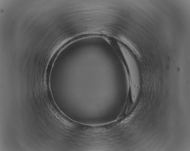 X0000077290884200611031547