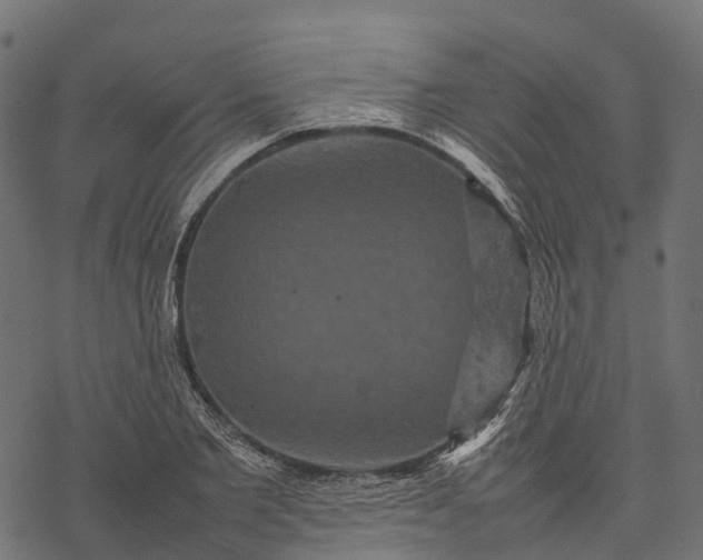 X0000077290885200611031547