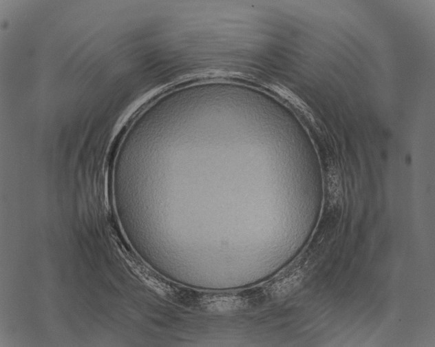 X0000077290886200611031547