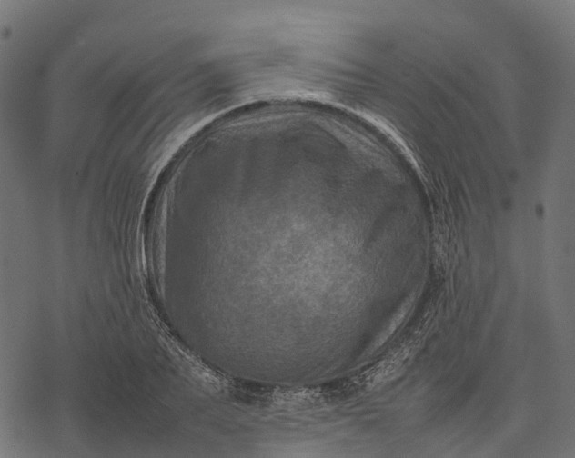 X0000077290887200611031547