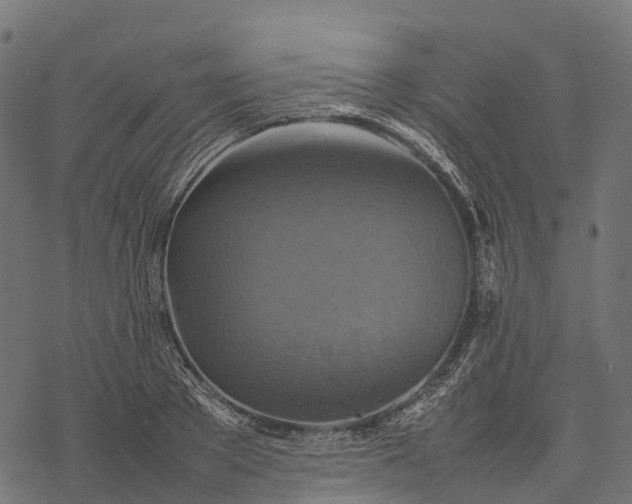 X0000077290889200611031547