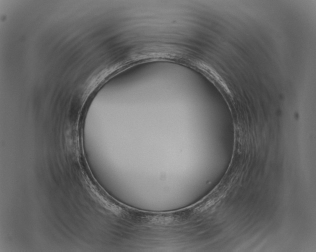 X0000077290890200611031547