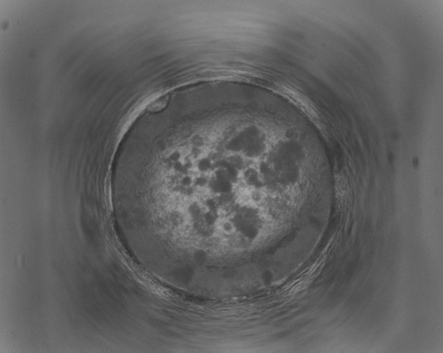 X0000077290891200611031547