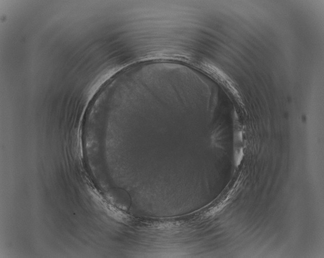 X0000077290892200611031547