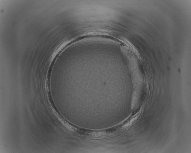 X0000077290893200611031547