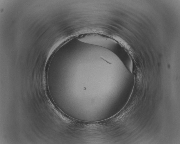 X0000077290894200611031547