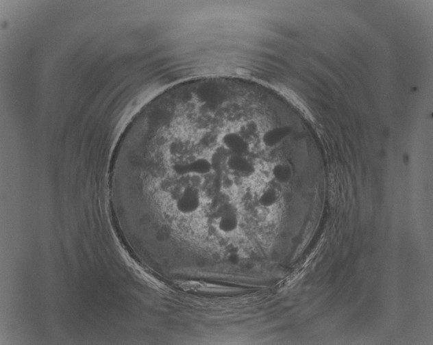 X0000077290895200611031547