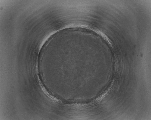 X0000077290896200611031547