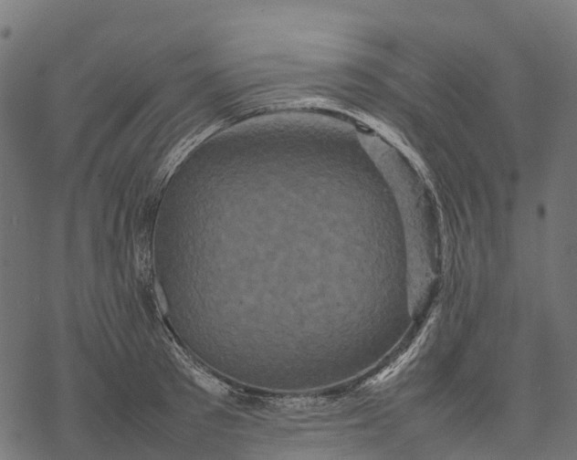 X0000077290897200611031547