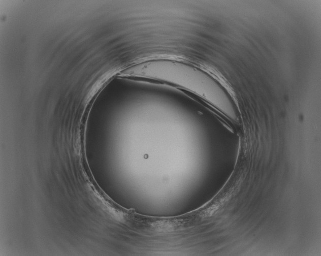 X0000077290898200611031547