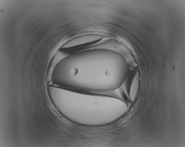 X0000077290899200611031547