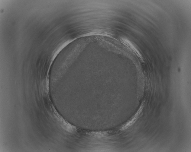 X0000077290900200611031547