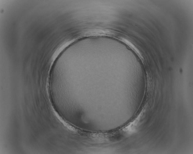 X0000077290901200611031547