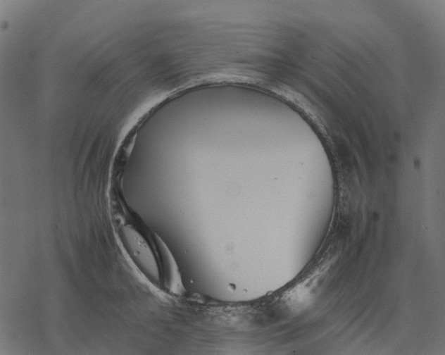 X0000077290902200611031547