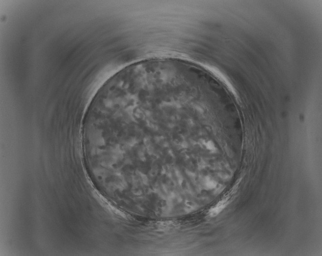 X0000077290903200611031547