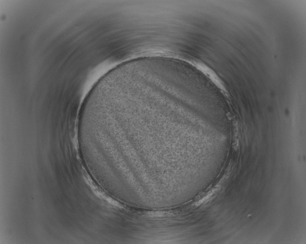 X0000077290904200611031547