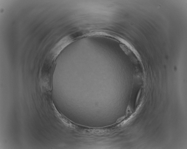 X0000077290905200611031547