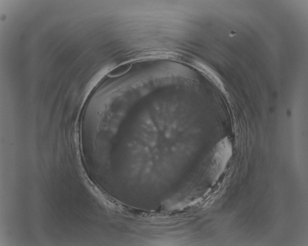 X0000077290907200611031547