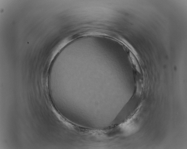 X0000077290909200611031547