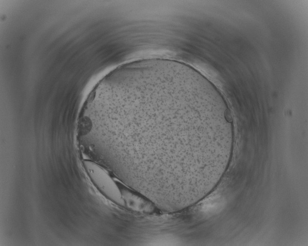 X0000077290912200611031547