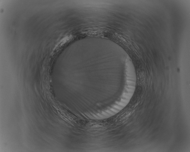 X0000077290913200611031546