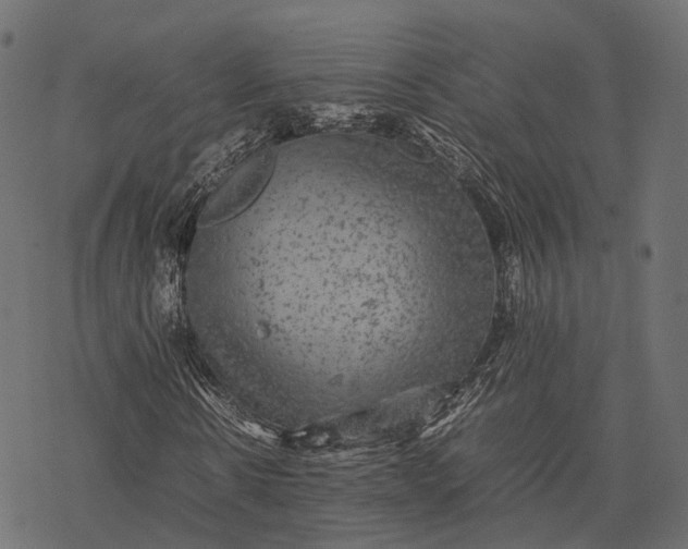 X0000077290914200611031546