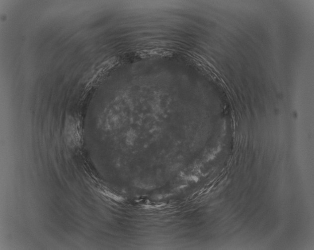 X0000077290915200611031546