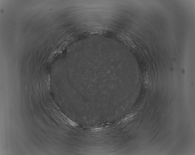 X0000077290916200611031546