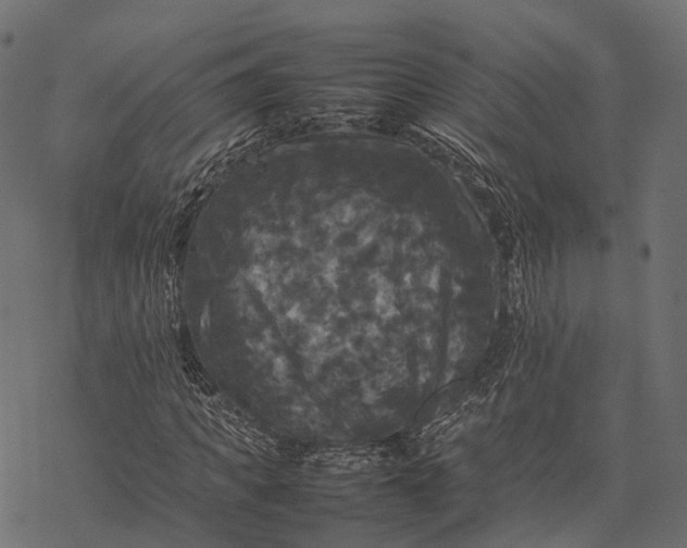 X0000077290917200611031546